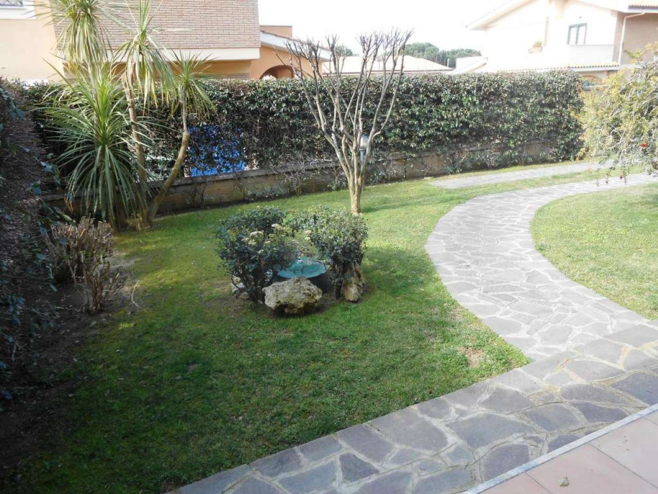 Villa Quadrifamiliare ANZIO vendita   Primiero Immobiliare Giacoponi di Roberto Giacoponi