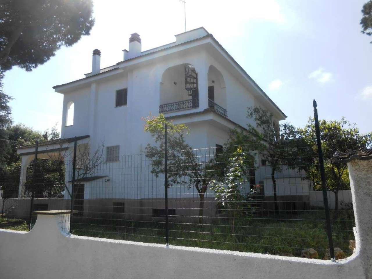 Villa Bifamiliare ANZIO affitto   Via dei Pinoli Immobiliare Giacoponi di Roberto Giacoponi