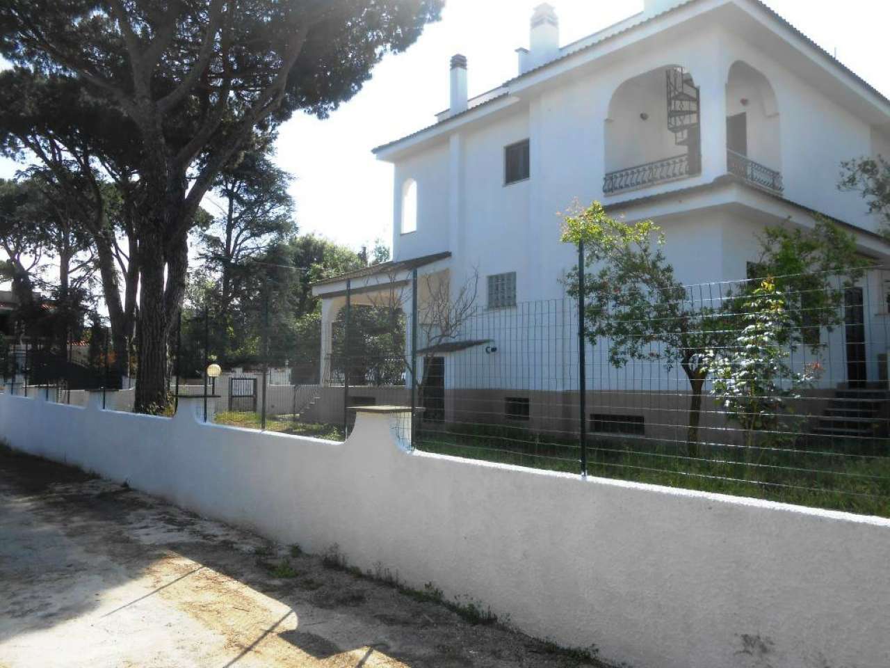 Villa Bifamiliare ANZIO affitto   Via dei Pinoli Immobiliare Giacoponi di Roberto Giacoponi