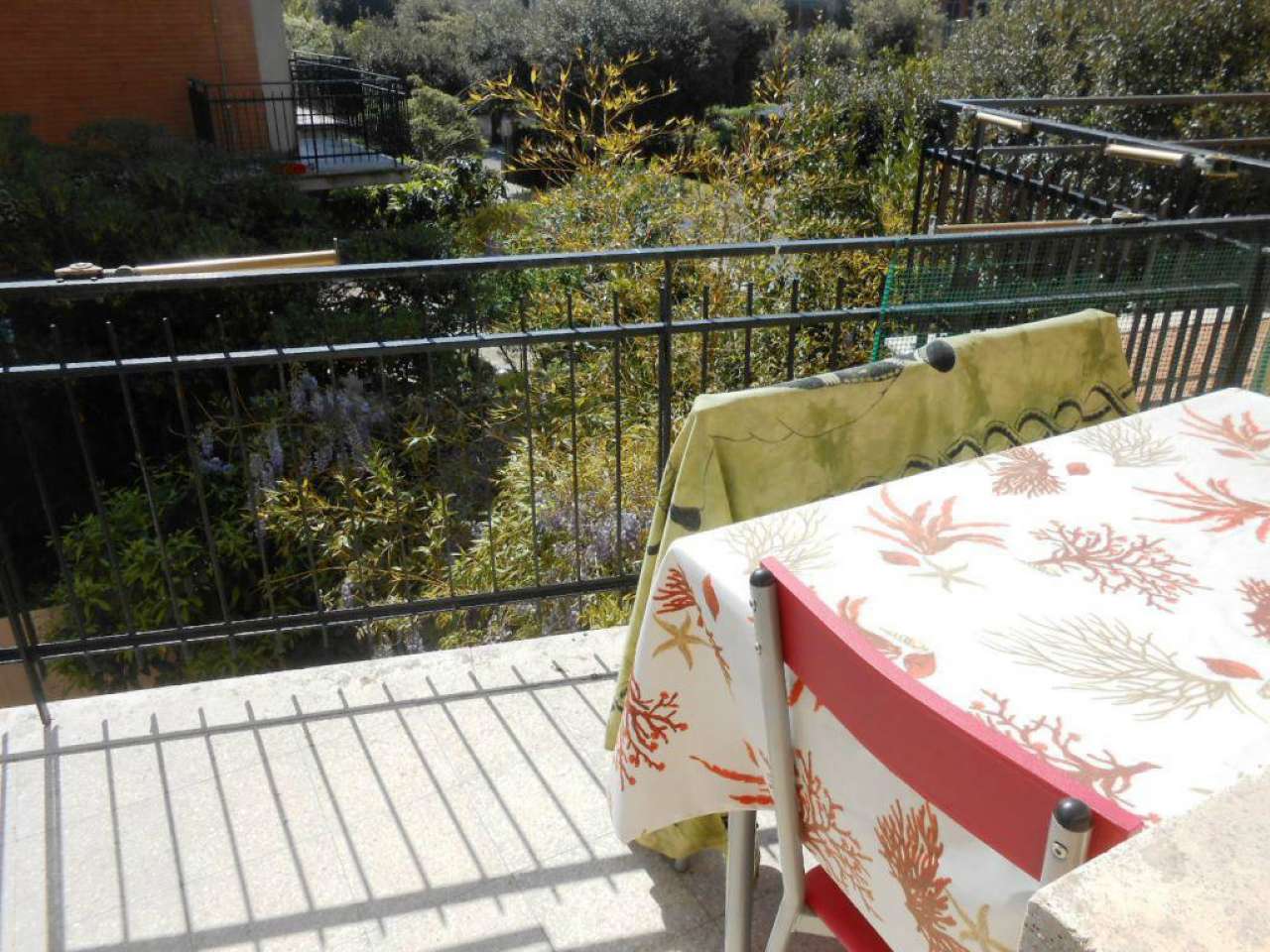 Appartamento ANZIO affitto   DELLE NEREIDI Immobiliare Giacoponi di Roberto Giacoponi