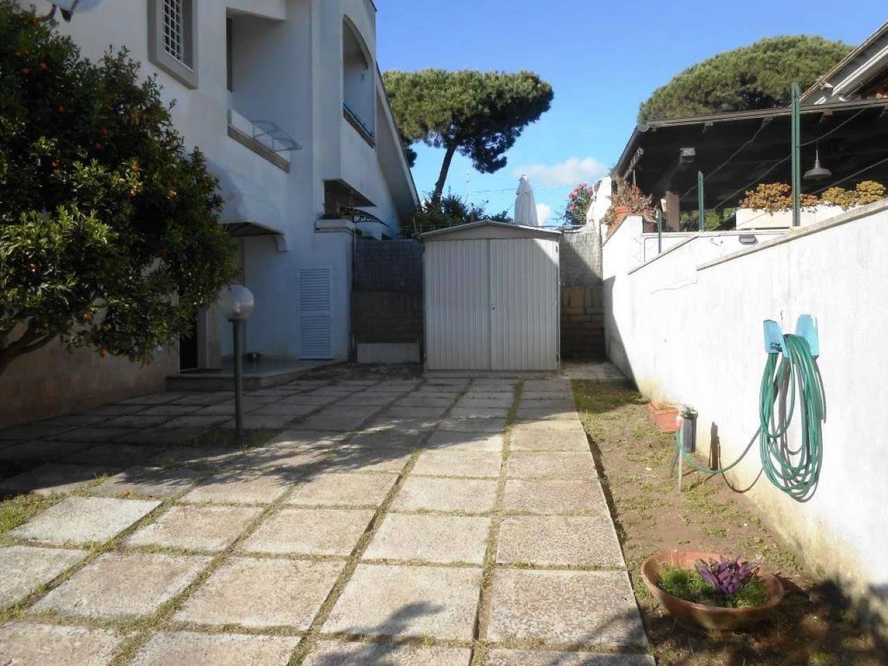 Villa ANZIO affitto   della Stazione Immobiliare Giacoponi di Roberto Giacoponi