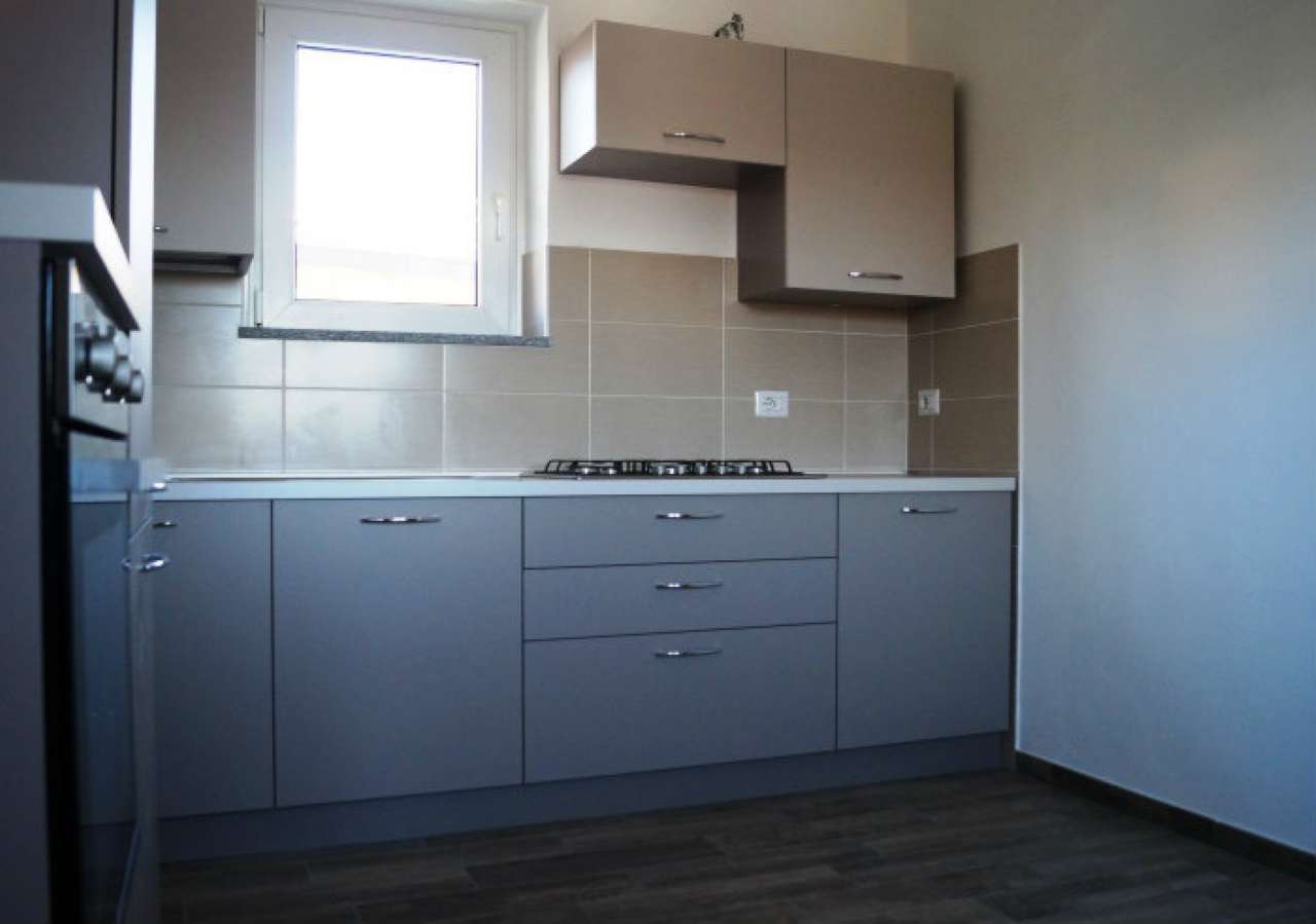 Appartamento ANGERA affitto   MILANO Sestocase Immobiliare