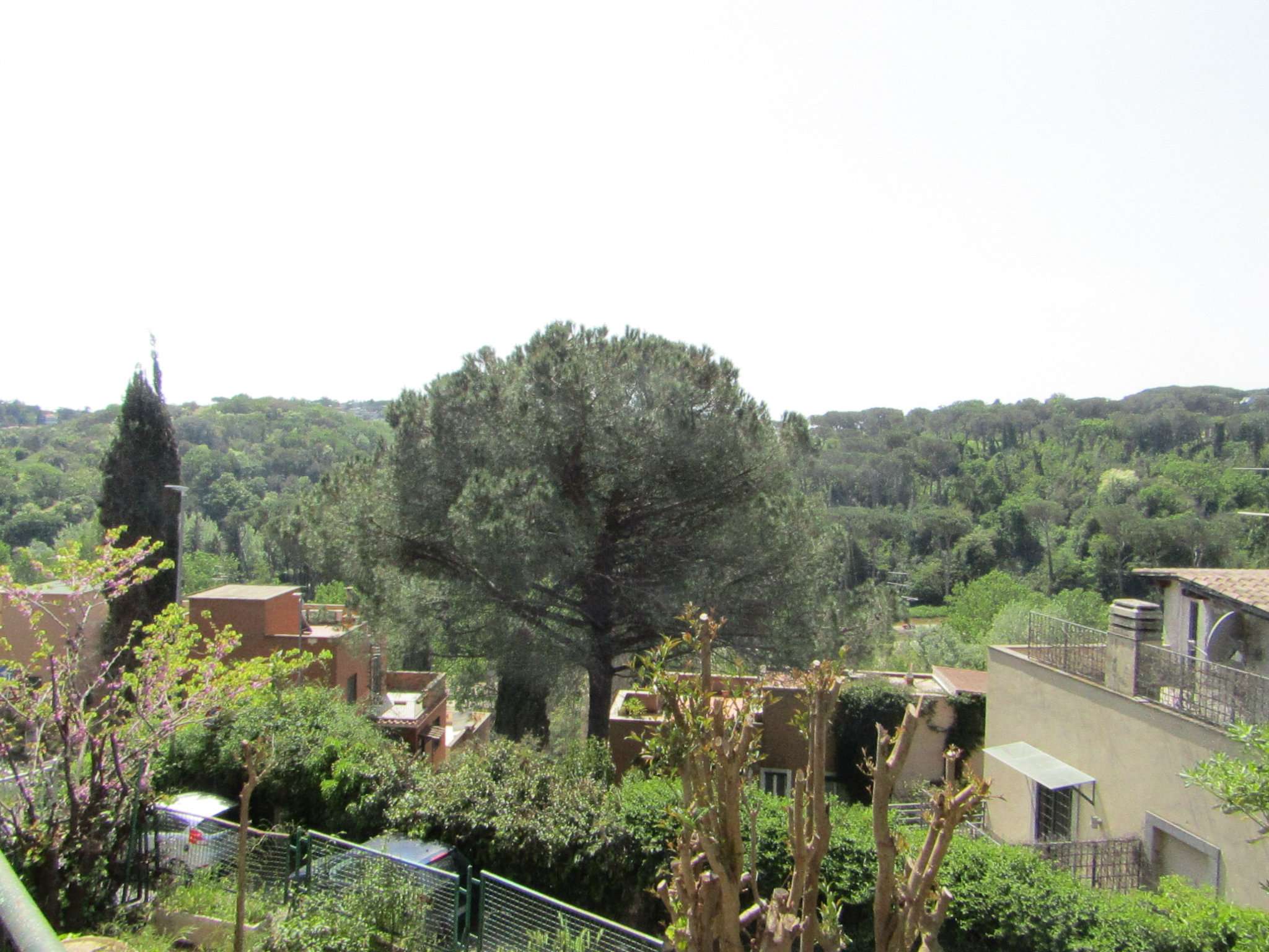 Villa Bifamiliare ROMA vendita  Cassia flaminia ITALO PANATTONI TOPCASA IMMOBILIARE SRL