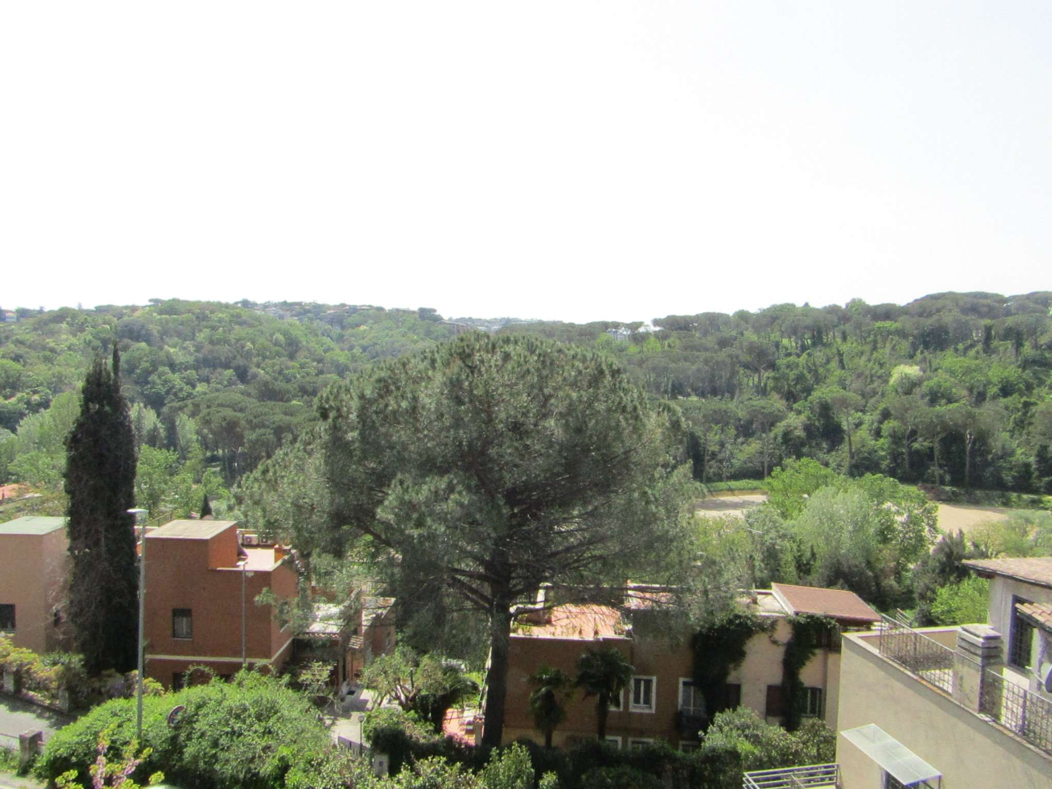 Villa Bifamiliare ROMA vendita  Cassia flaminia ITALO PANATTONI TOPCASA IMMOBILIARE SRL