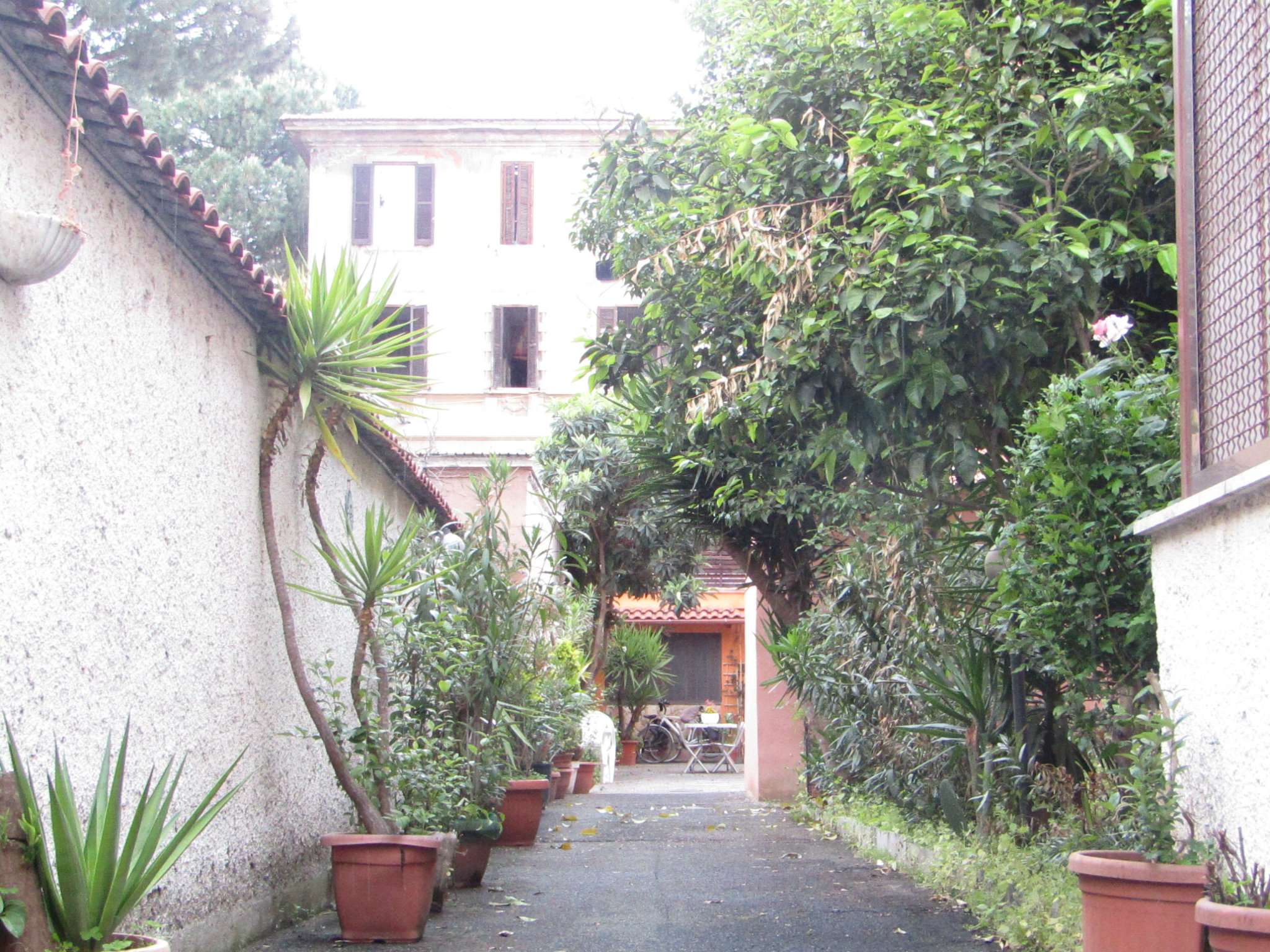 Appartamento ROMA vendita  APPIO LATINO (IX MUN.) LUIGI TOSTI TOPCASA IMMOBILIARE SRL
