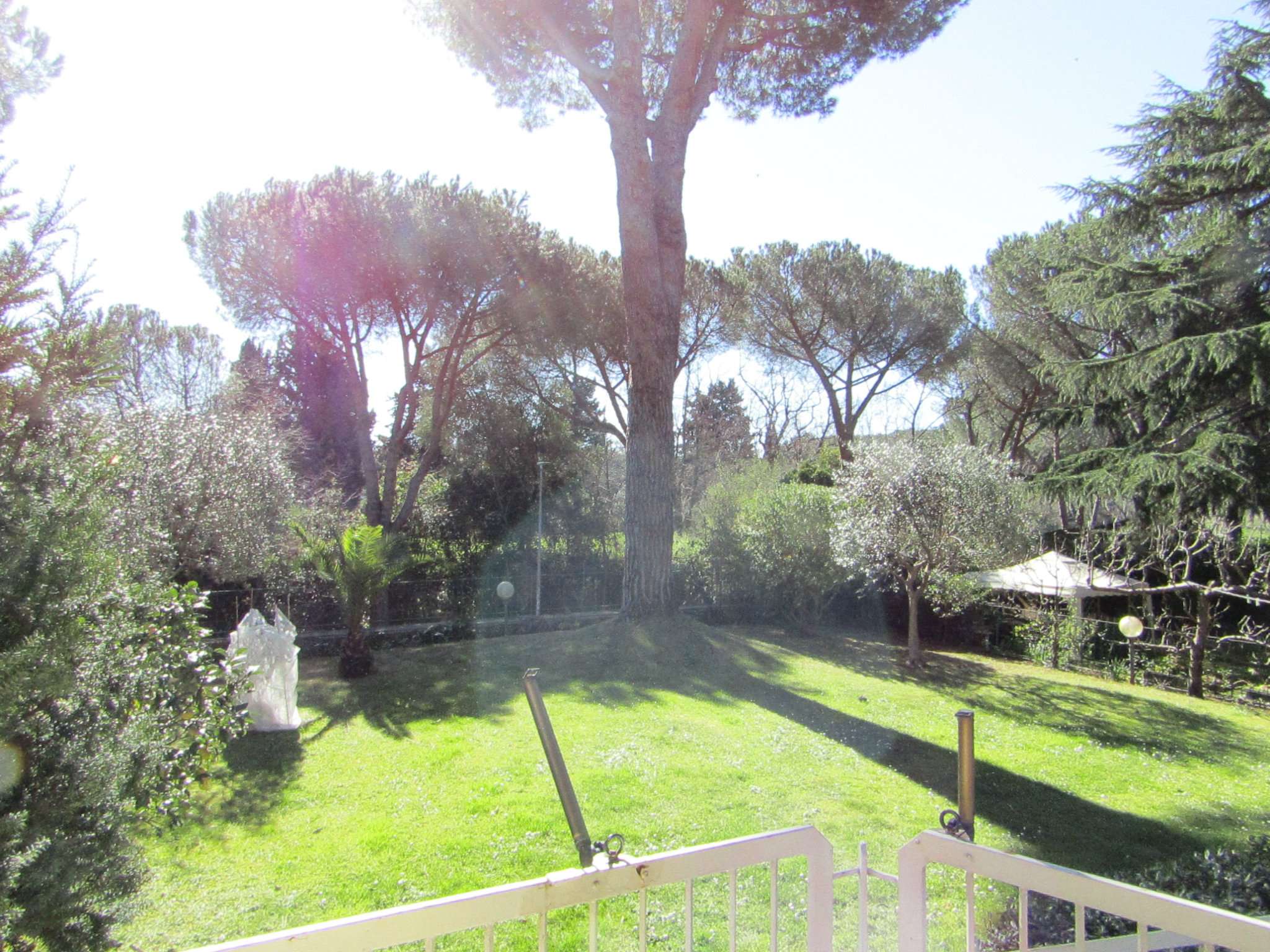 Appartamento ROMA vendita  EUROPA  SERGIO FORTI TOPCASA IMMOBILIARE SRL
