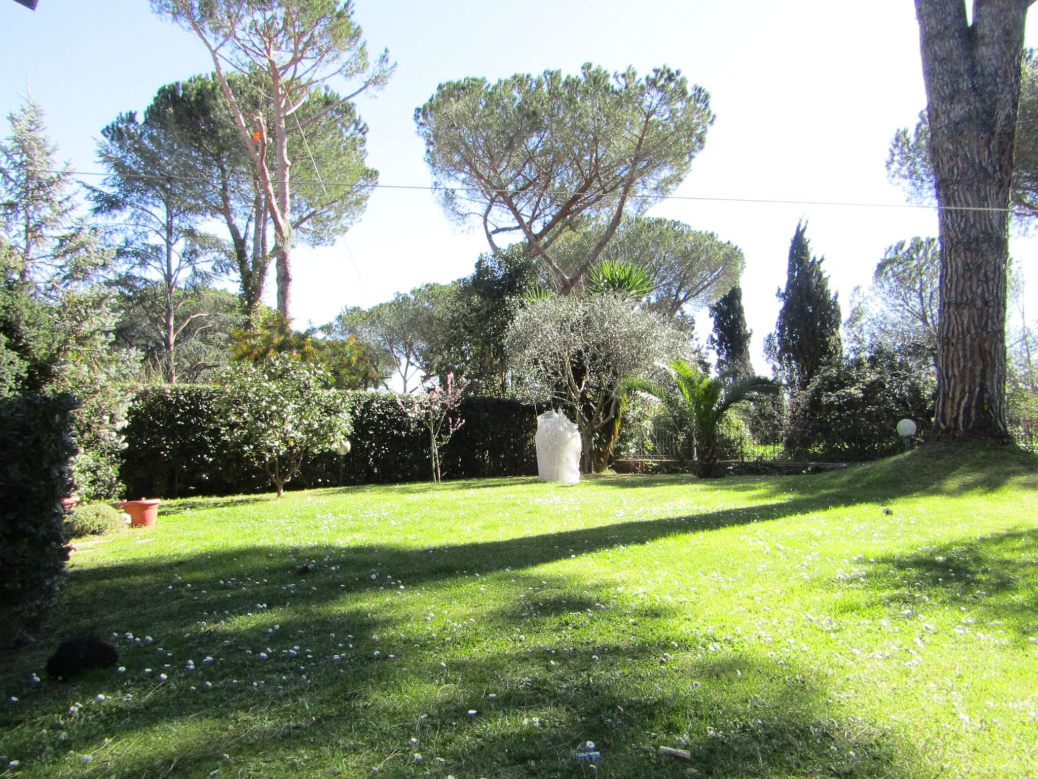 Appartamento ROMA vendita  EUROPA  SERGIO FORTI TOPCASA IMMOBILIARE SRL