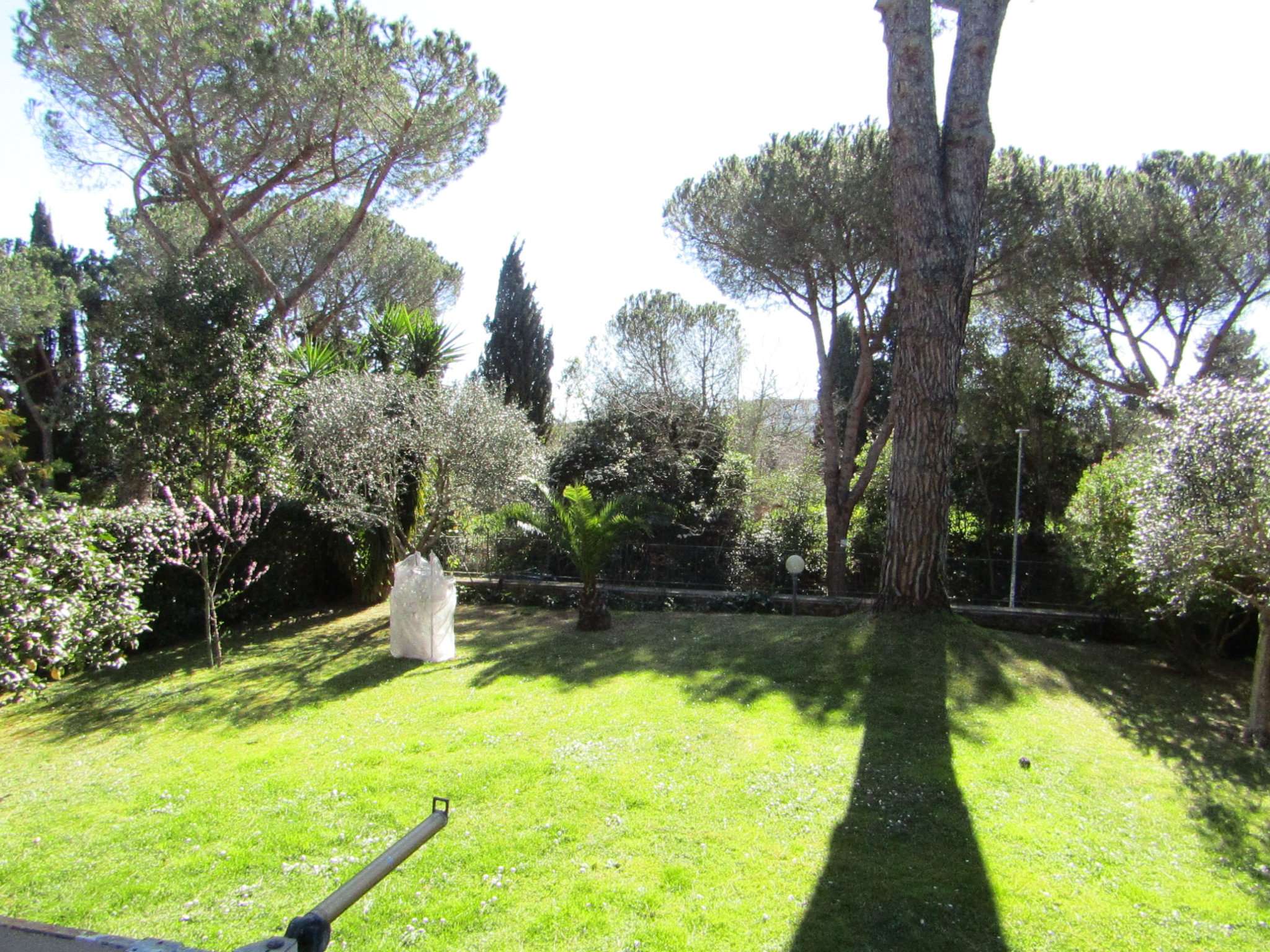 Appartamento ROMA vendita  EUROPA  SERGIO FORTI TOPCASA IMMOBILIARE SRL