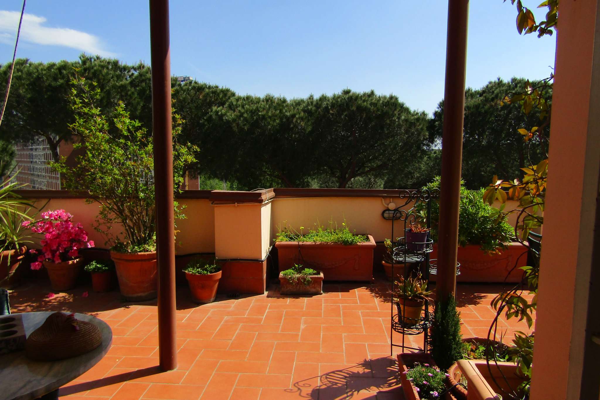 Appartamento ROMA vendita  EUROPA  VITTORE CARPACCIO TOPCASA IMMOBILIARE SRL