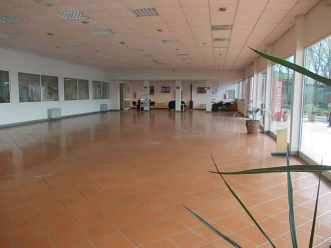 Capannoni (Tutti) ROMA vendita  BUFALOTTA  TOPCASA IMMOBILIARE SRL