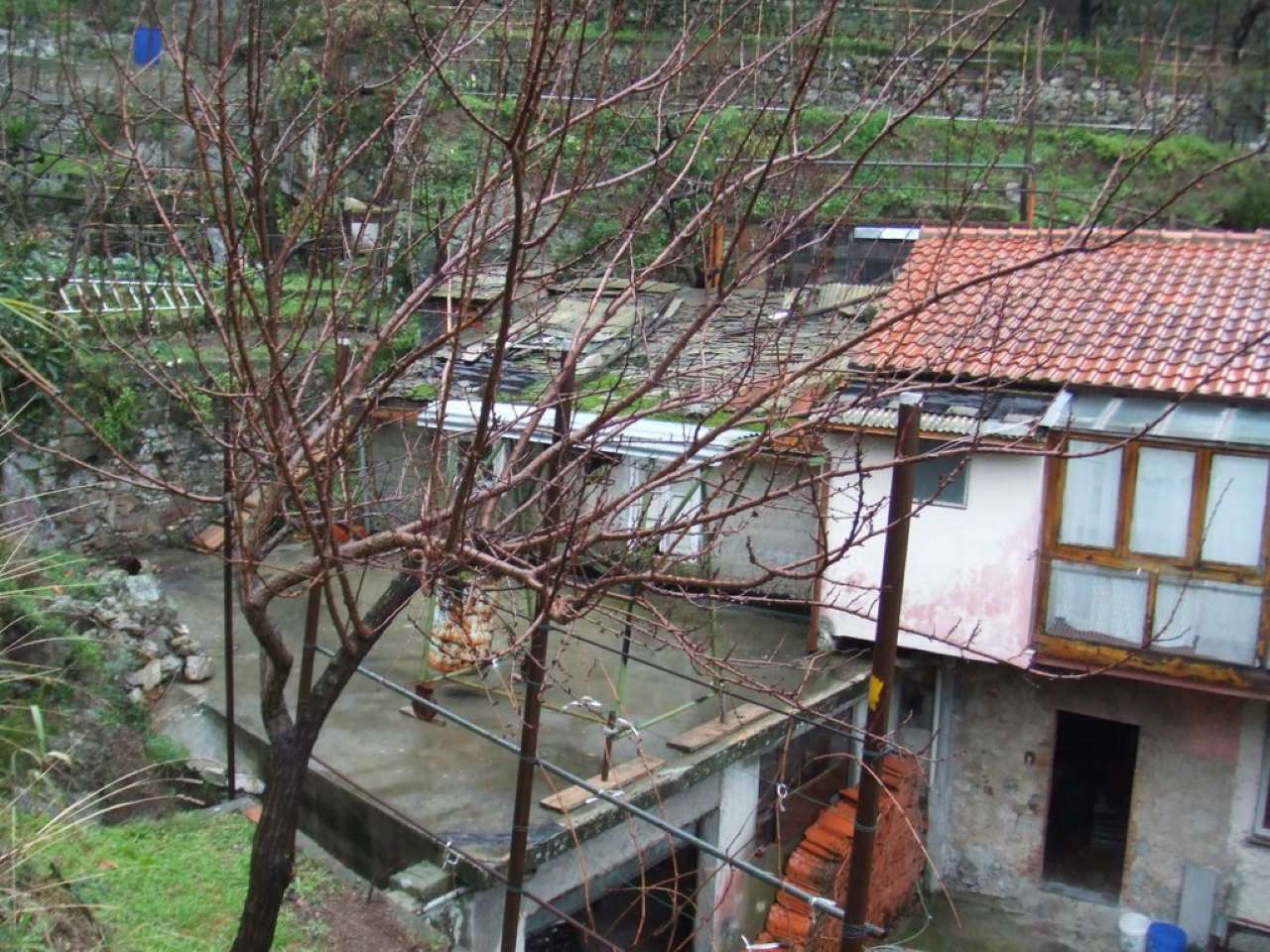  castiglione chiavarese vendita quart:  immobiliare arbasetti