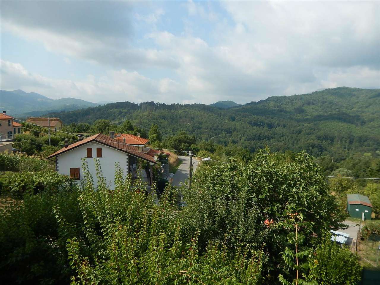 Villa Unifamiliare - Indipendente MAISSANA vendita   Cembrano Immobiliare Arbasetti