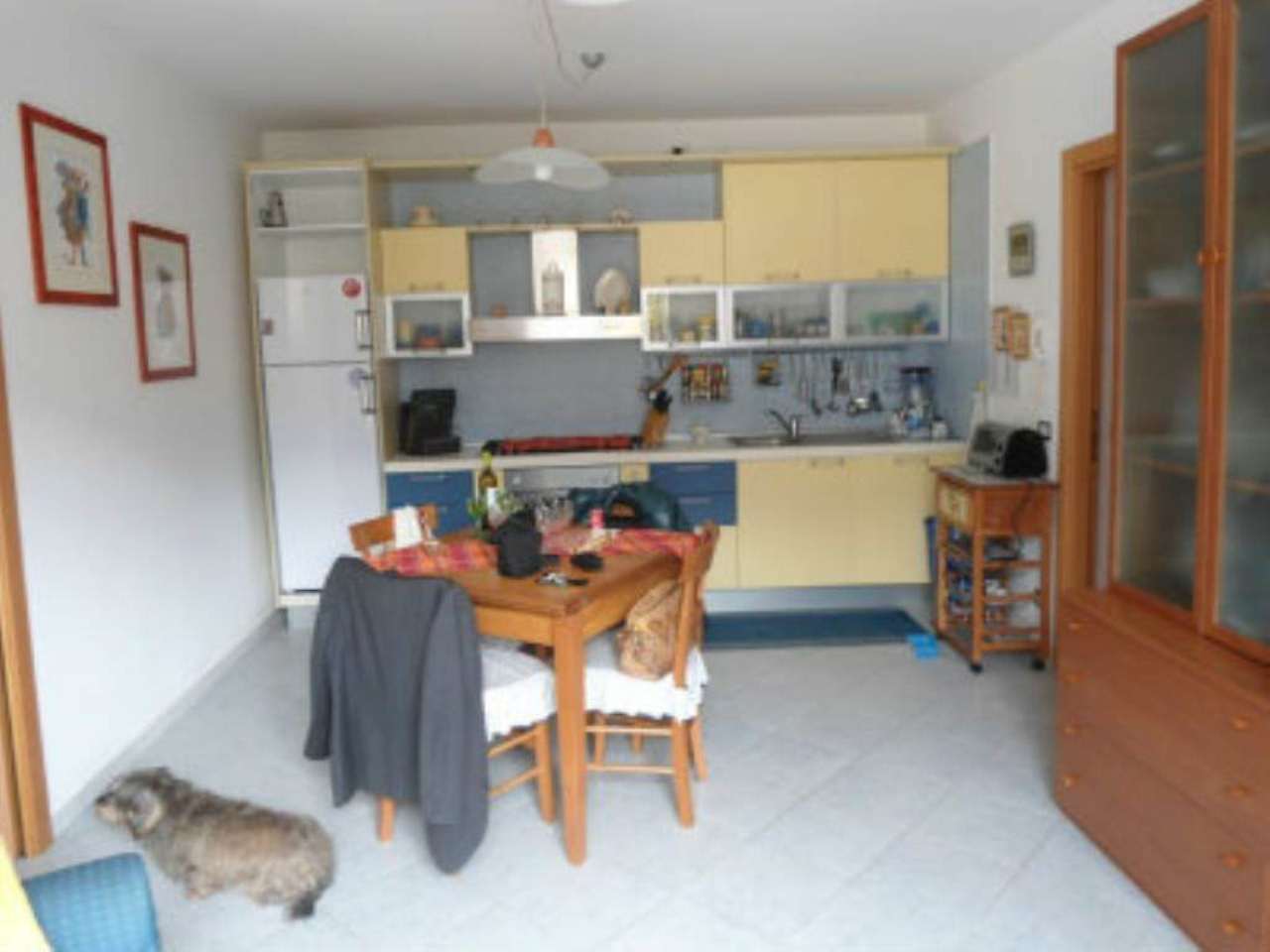 Appartamento ALBENGA vendita  Frazione Lusignano Provinciale Albenga Villanova Violante Realty