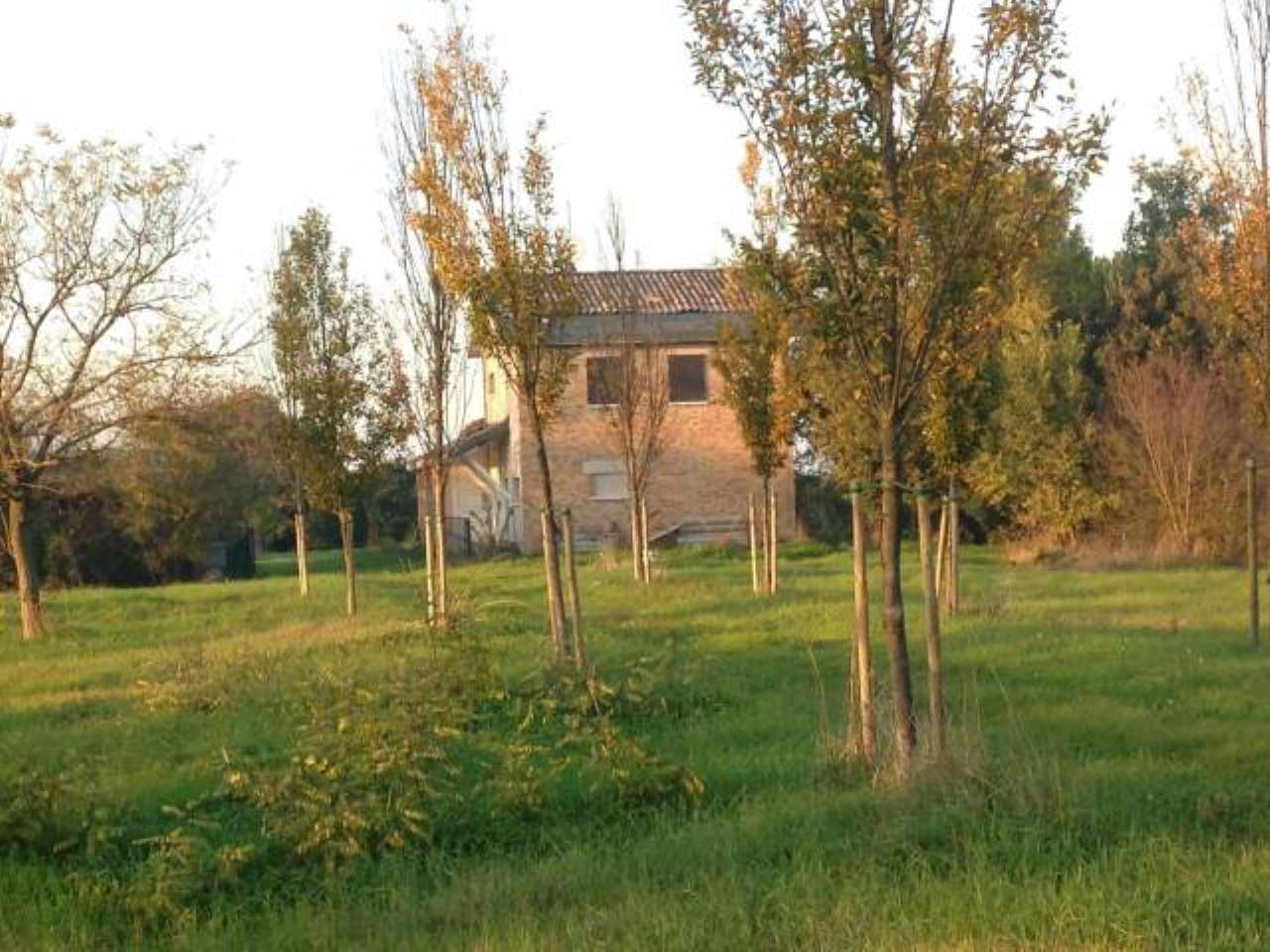  ravenna vendita quart: lido di classe case-d'autore