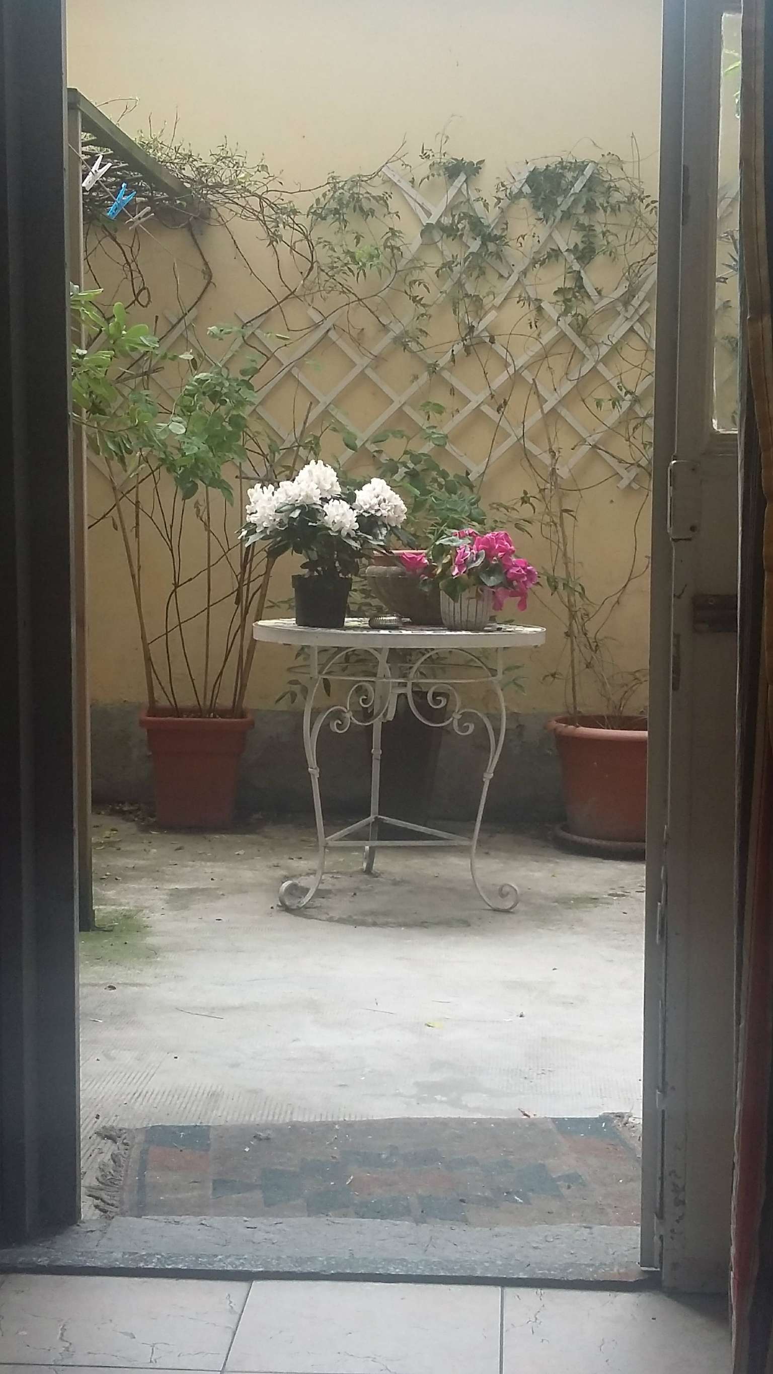 Negozio - Loc.Com. TORINO vendita  CENISIA Vigone CAGIMA