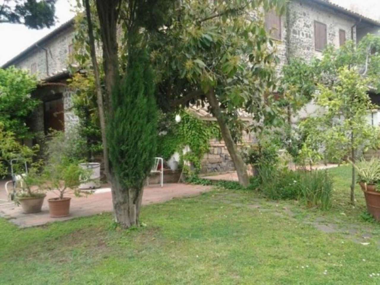 Rustico - Cascina ANGUILLARA SABAZIA vendita   Provinciale 15b SG IMMOBILIARE