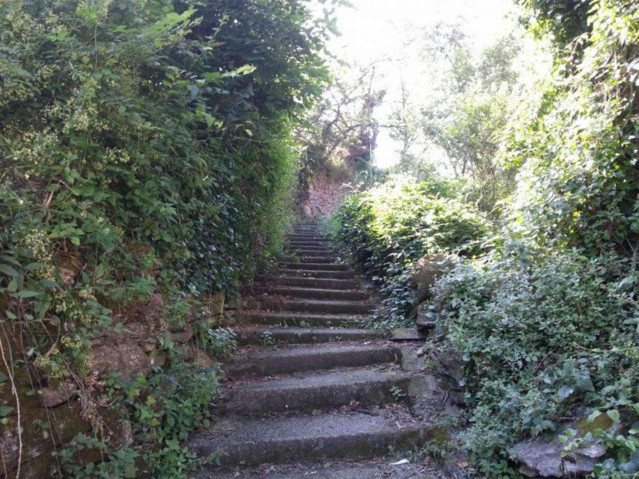 Villa Unifamiliare - Indipendente RAPALLO vendita   Costasecca MARCO IMMOBILIARE