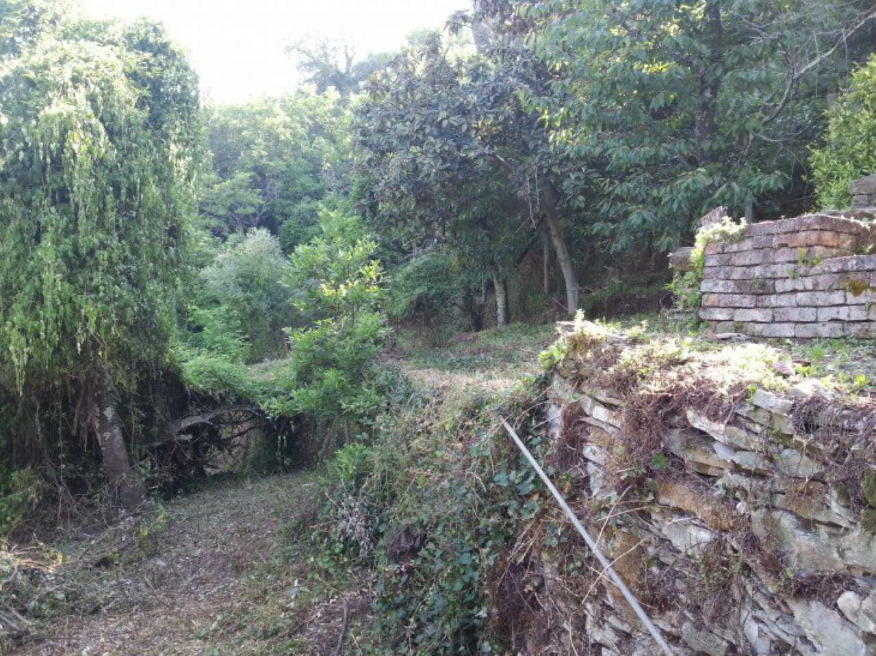 Villa Unifamiliare - Indipendente RAPALLO vendita   Costasecca MARCO IMMOBILIARE