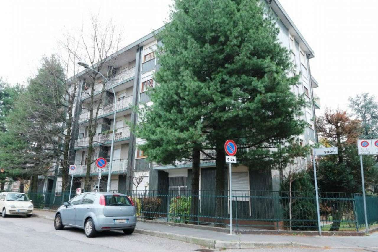 Appartamento LEGNANO vendita   Stelvio MARCO IMMOBILIARE