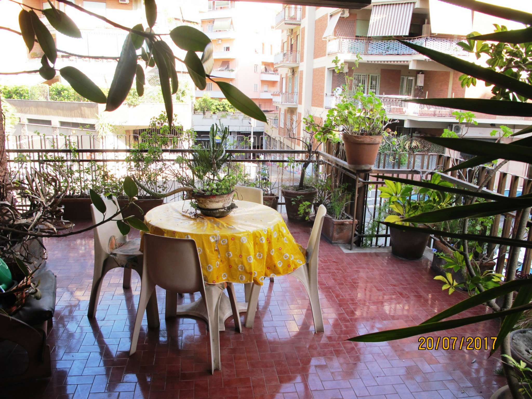 Appartamento ROMA vendita  MONTAGNOLA Guido de Ruggiero L'IMMOBILIARE di Nicola Sommella srls