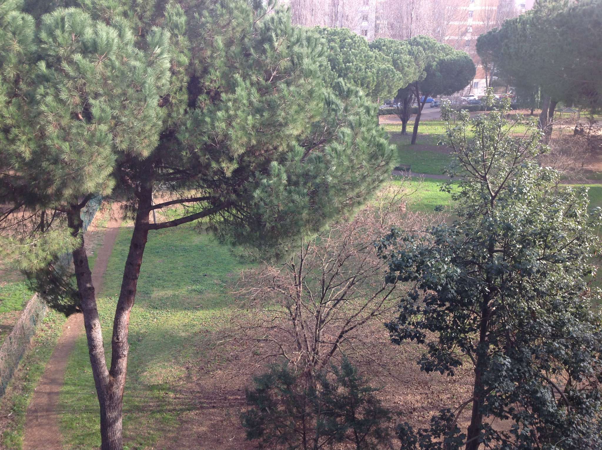  roma affitto quart: montagnola l'immobiliare di nicola sommella srls