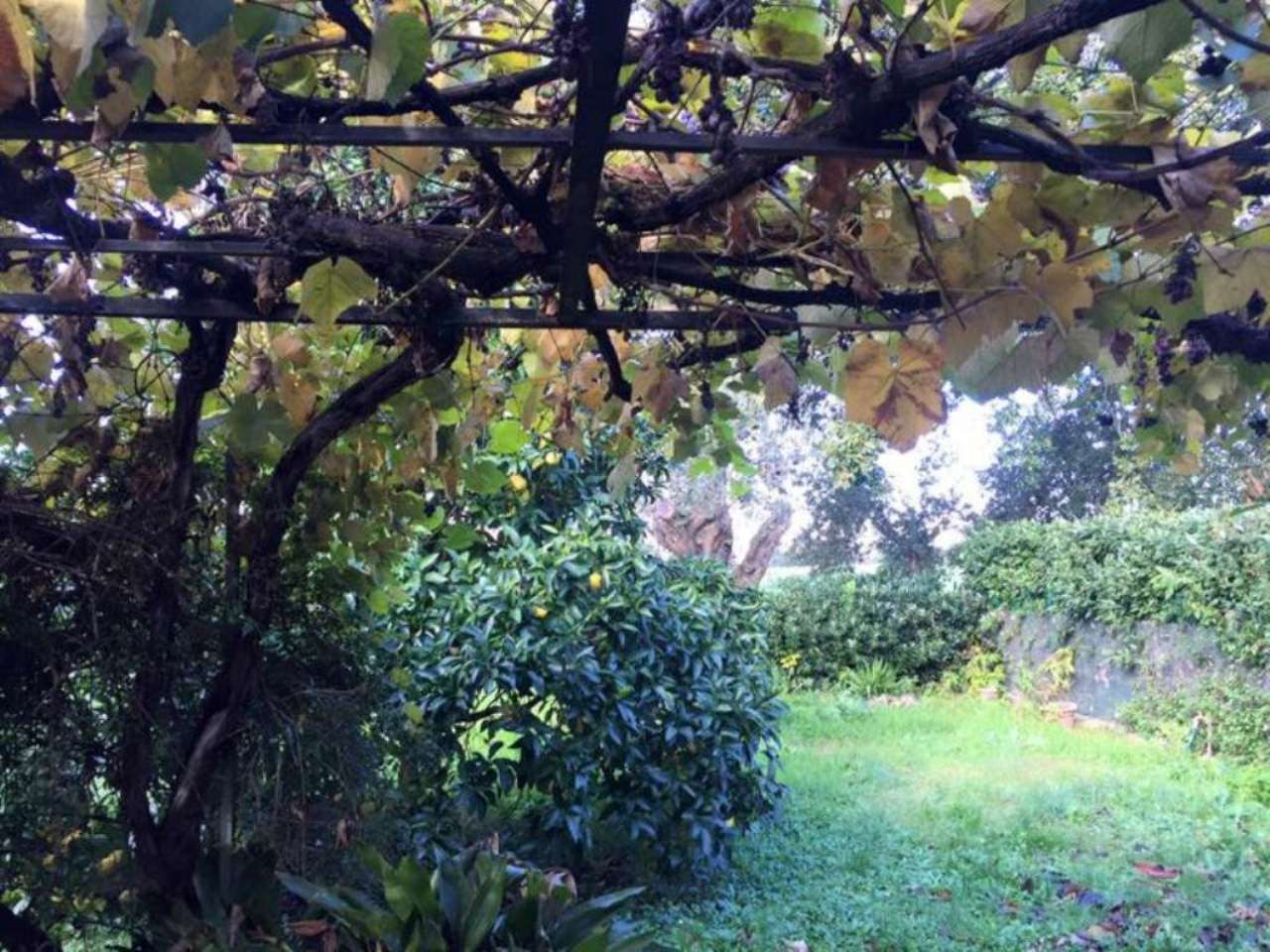 Villa ROMA vendita  APPIO LATINO (IX MUN.) Appia Antica ROMACASA