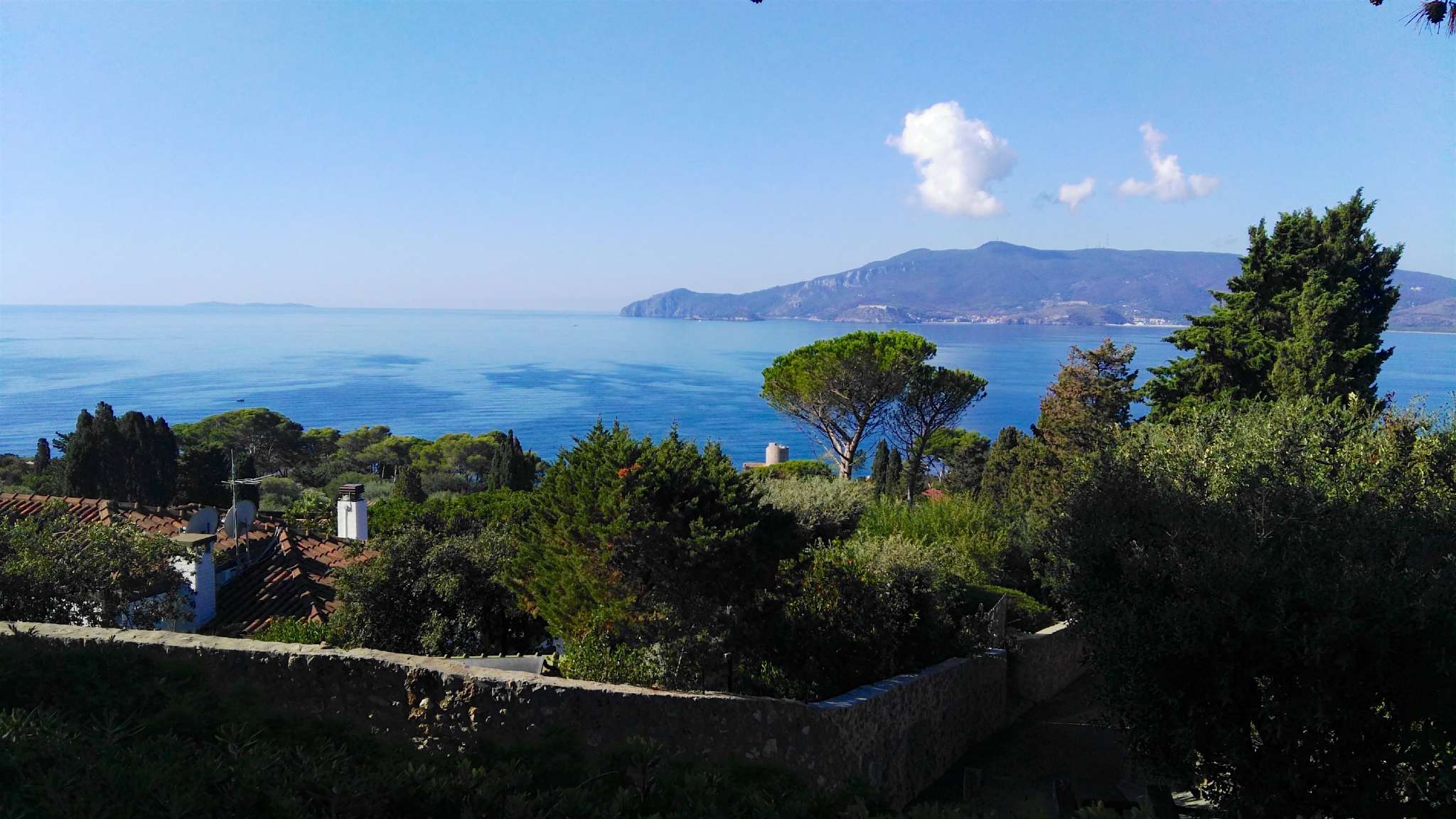 Villa Trifamiliare ORBETELLO vendita   del Ginepro ROMACASA