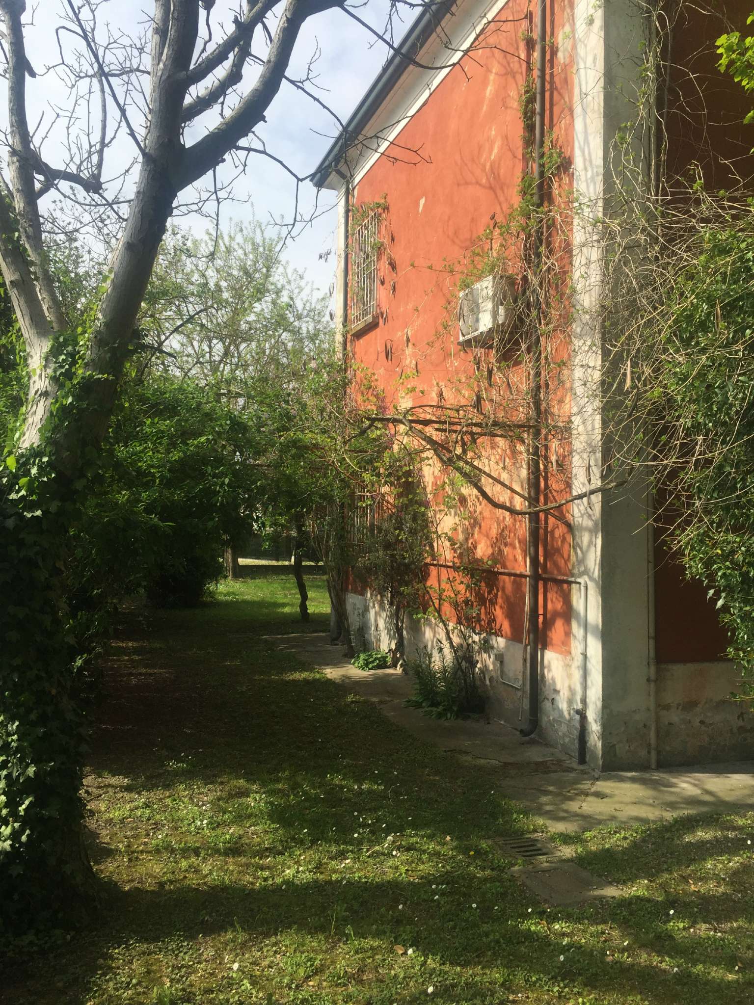 Villa Trifamiliare ALFONSINE vendita   mameli StudioTec