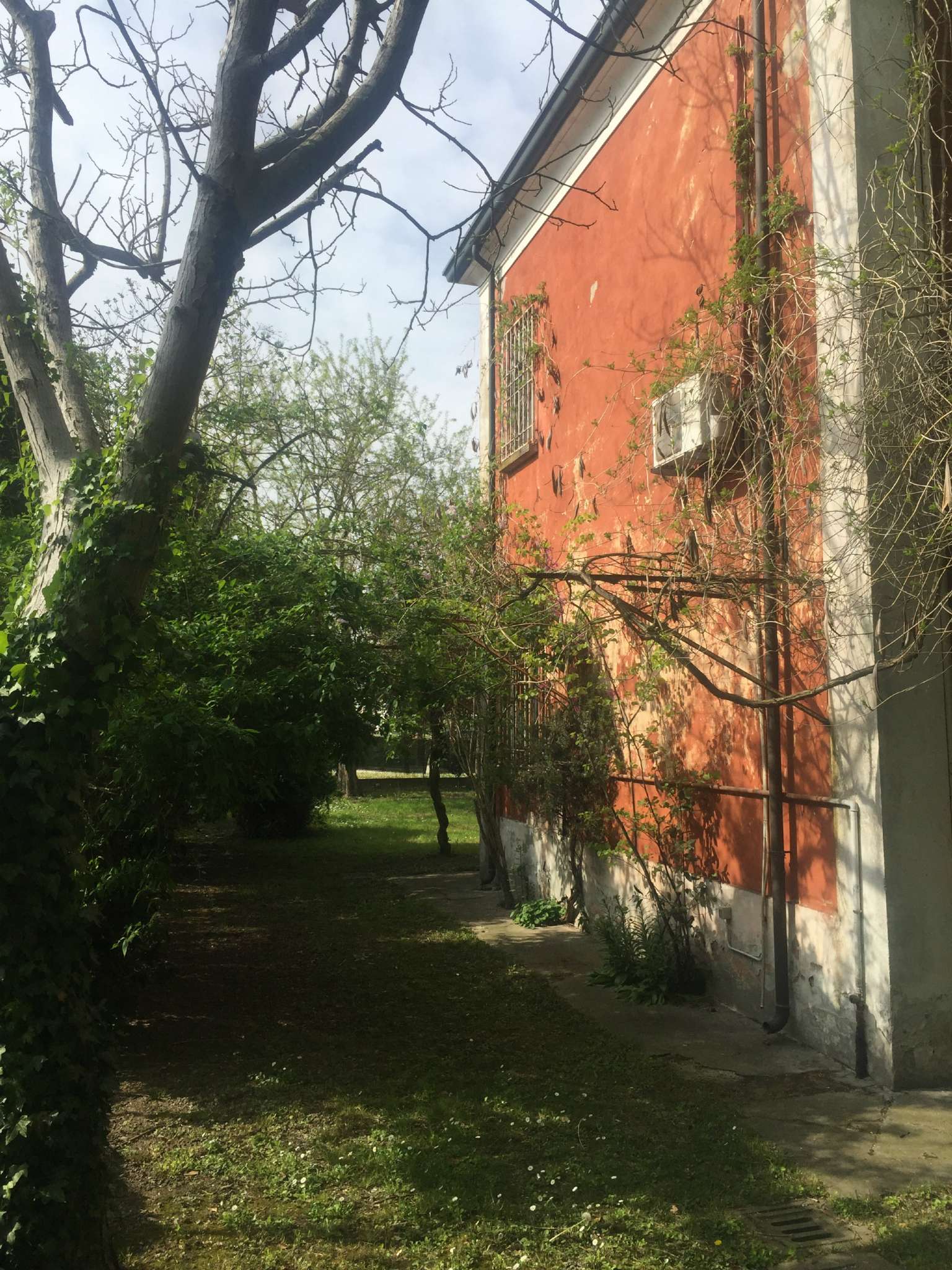 Villa Trifamiliare ALFONSINE vendita   mameli StudioTec