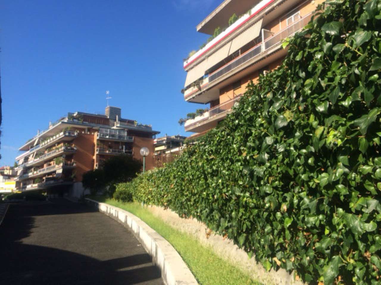 Ufficio - Loc.Com. ROMA vendita  GIANICOLENSE (XV MUN.) via vincenzo ussani Pantheon Immobiliare