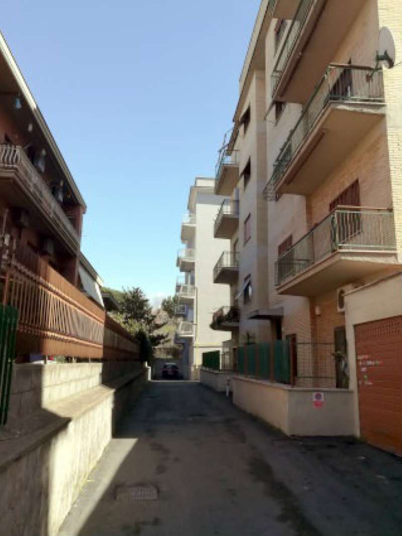 Appartamento ROMA affitto  ALESSANDRINO  ALESSANDRINO casilina immobiliare srl