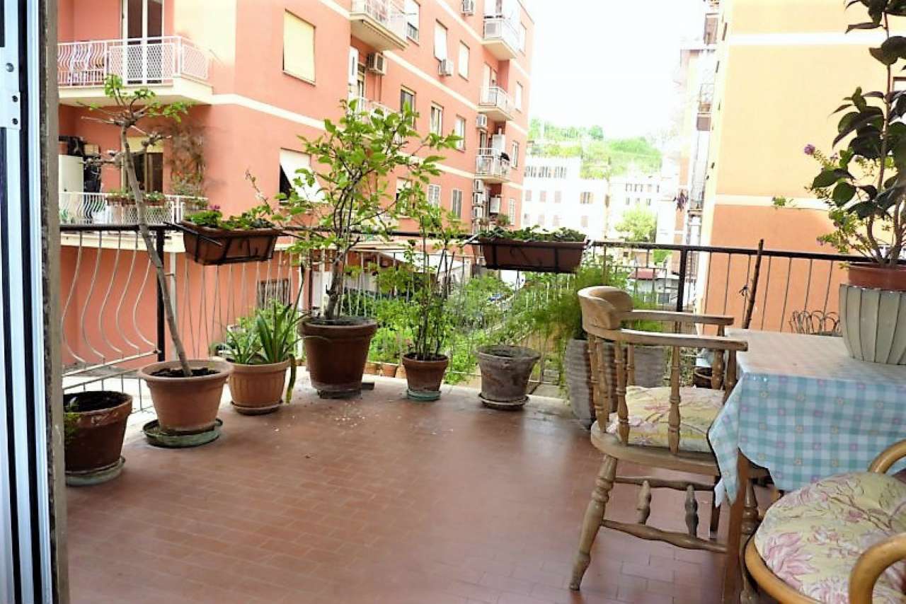  roma vendita quart: balduina abitha - balduina immobiliare srl