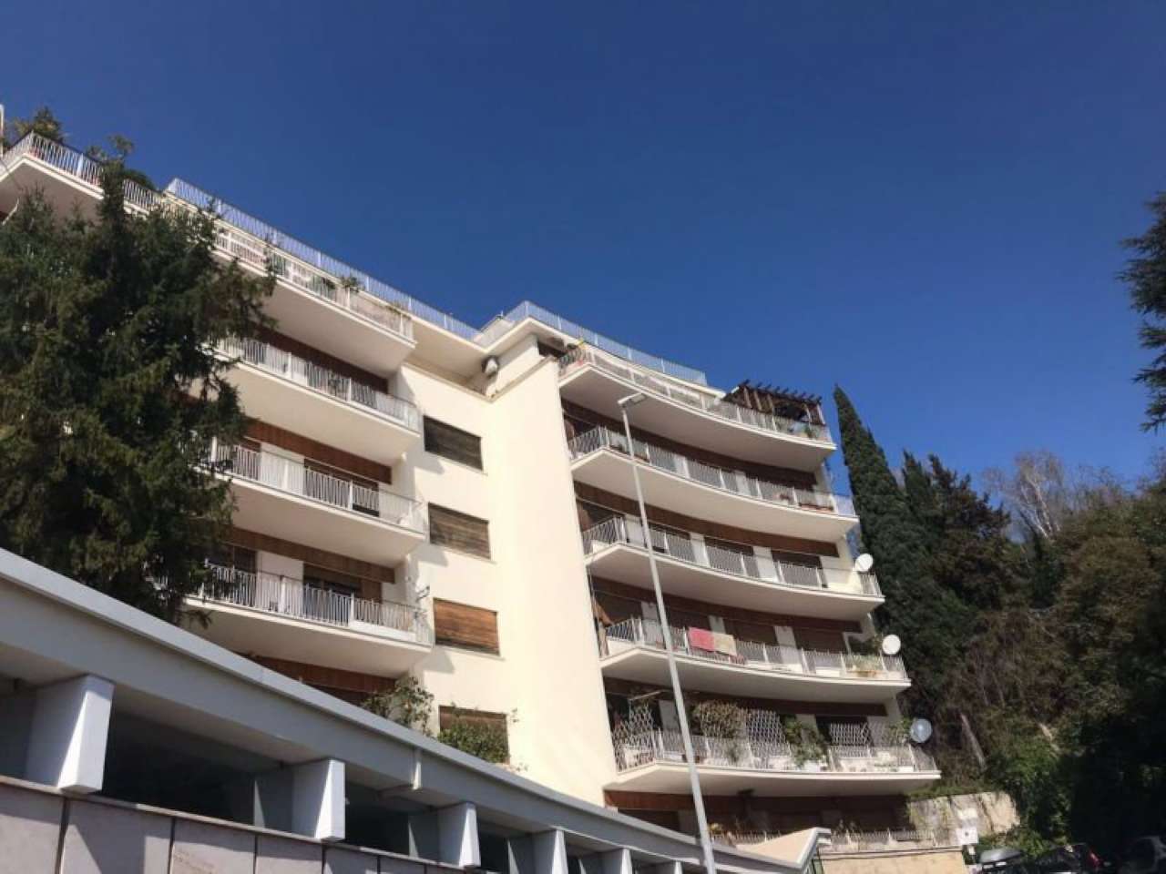 Appartamento ROMA vendita   trionfale PRATI TRIONFALE IMMOBILIARE s.r.l.