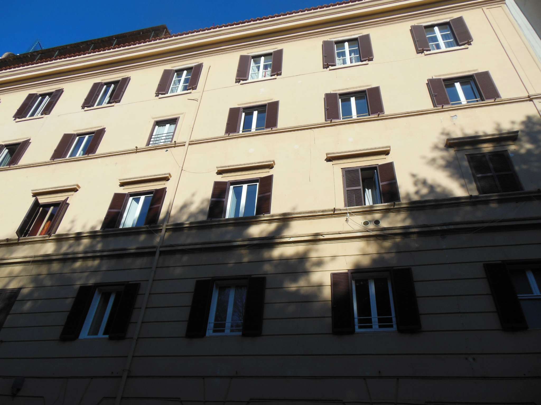 Appartamento ROMA vendita  TRIESTE (II MUN.) adda VESCOVIO IMMOBILIARE SRL