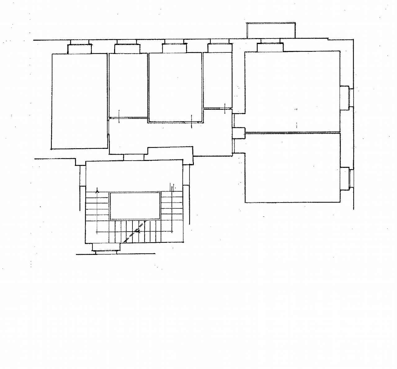 Appartamento ROMA vendita  TRIESTE (II MUN.)  VESCOVIO IMMOBILIARE SRL