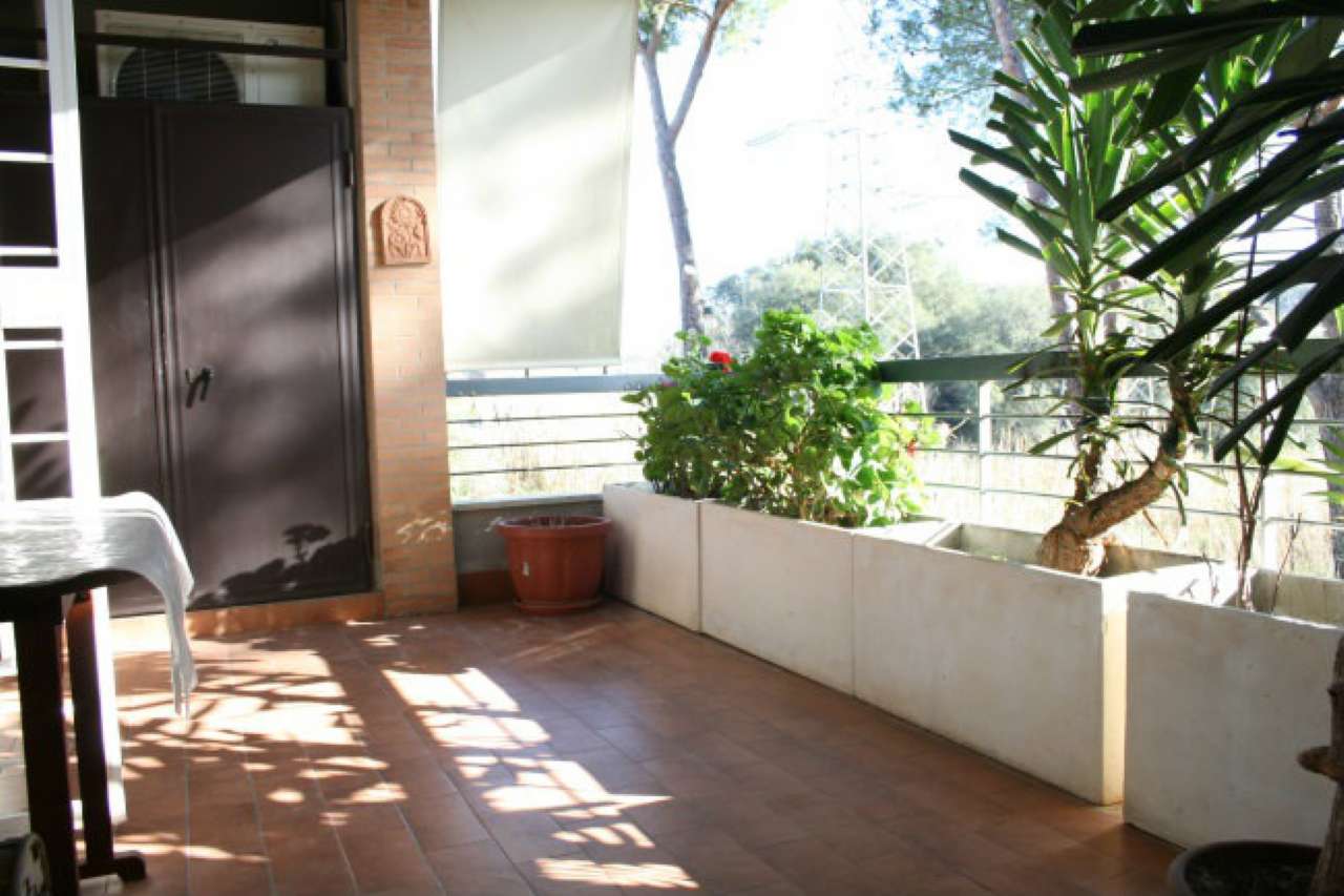 Appartamento ROMA vendita  AURELIO (XVIII MUN.) Augusto Gaudenzi San Giovanni immobiliare S.r.l.