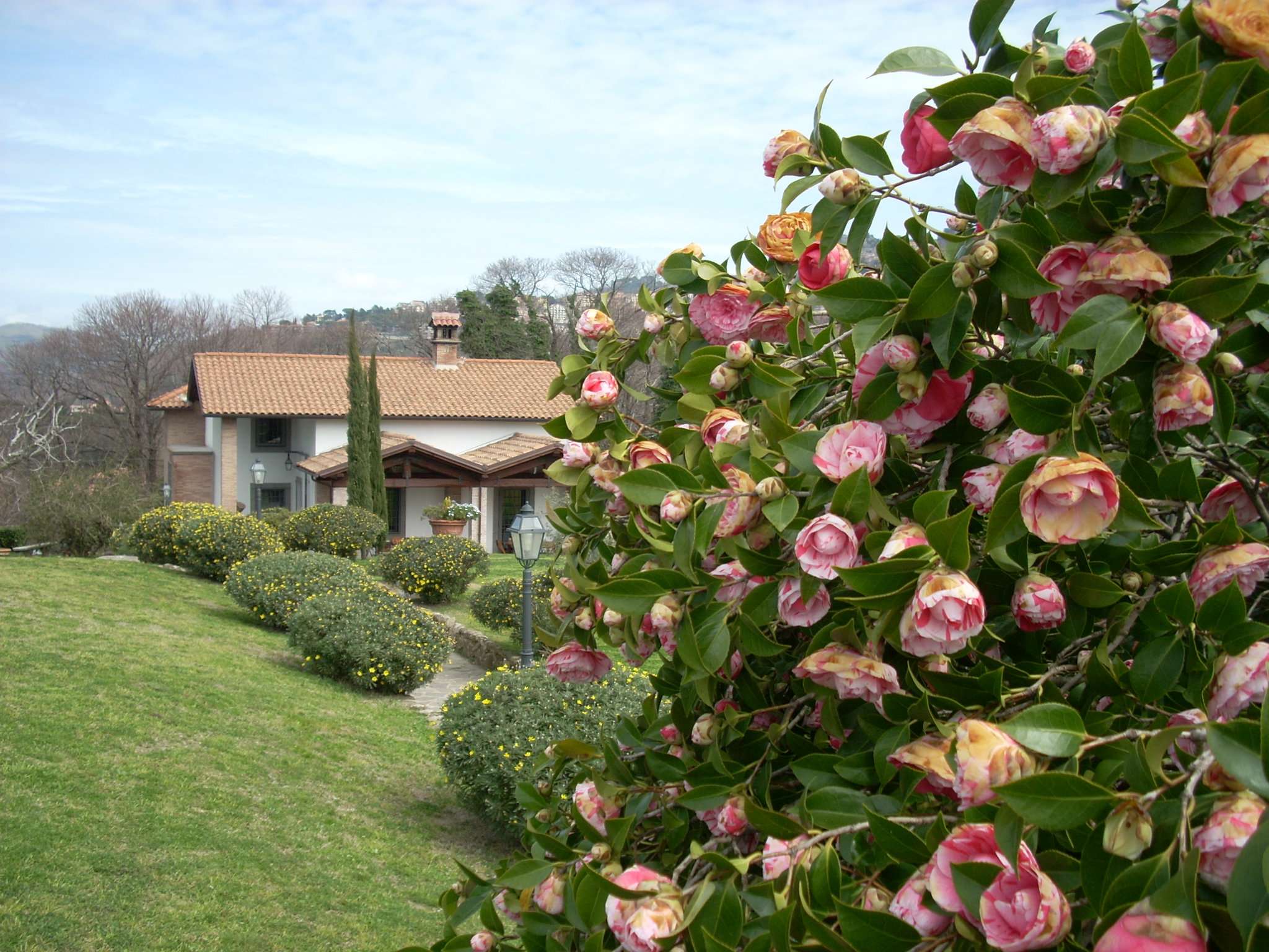 Villa Trifamiliare ROCCA DI PAPA vendita    San Giovanni immobiliare S.r.l.