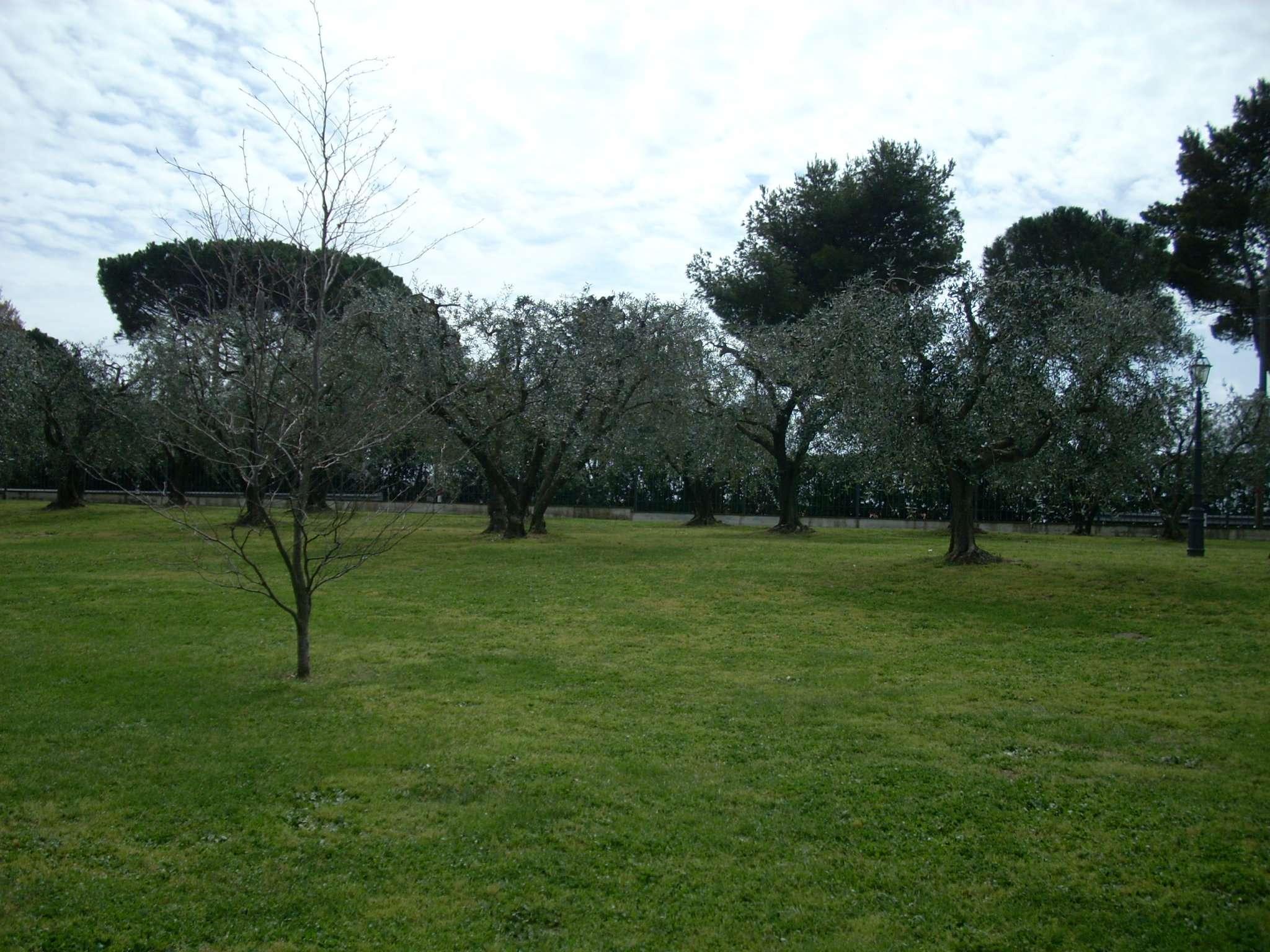 Villa Trifamiliare ROCCA DI PAPA vendita    San Giovanni immobiliare S.r.l.