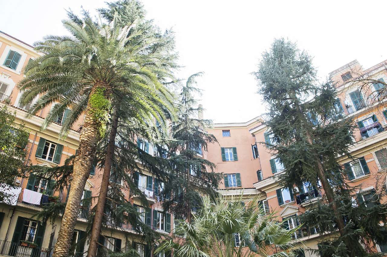  roma vendita quart: trieste (ii mun.) immobiliare trieste 125