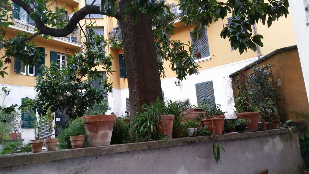 Appartamento ROMA vendita  TRIESTE (II MUN.) TRIESTE Immobiliare Trieste 125