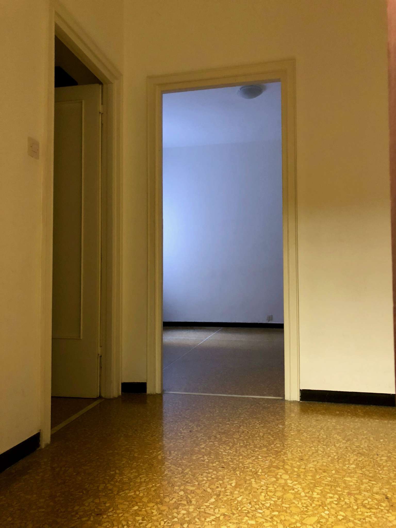 Ufficio - Loc.Com. GENOVA affitto  CENTRO XX Settembre FIN IMMOBILIARE