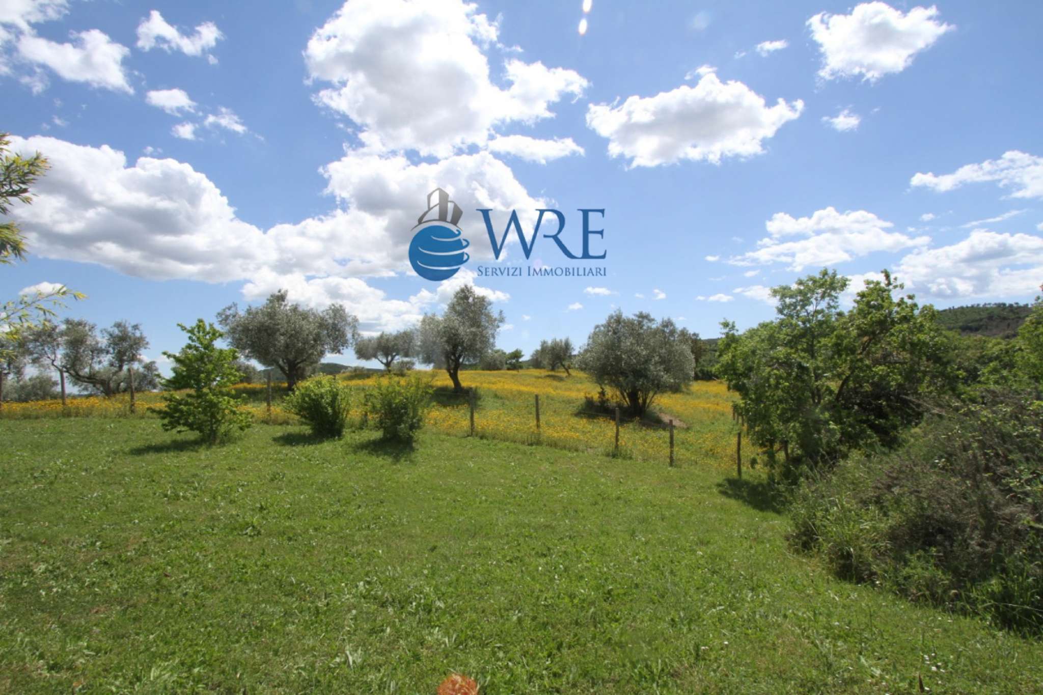  bracciano vendita quart:  world real estate srl