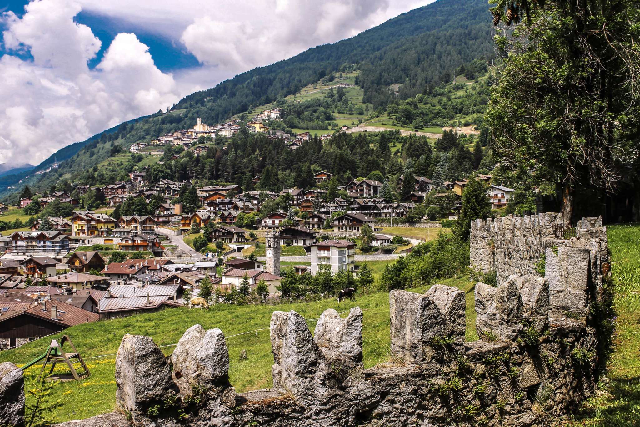 Appartamento PONTE DI LEGNO vendita   castello CASE & IMMOBILI D'IMPRESA