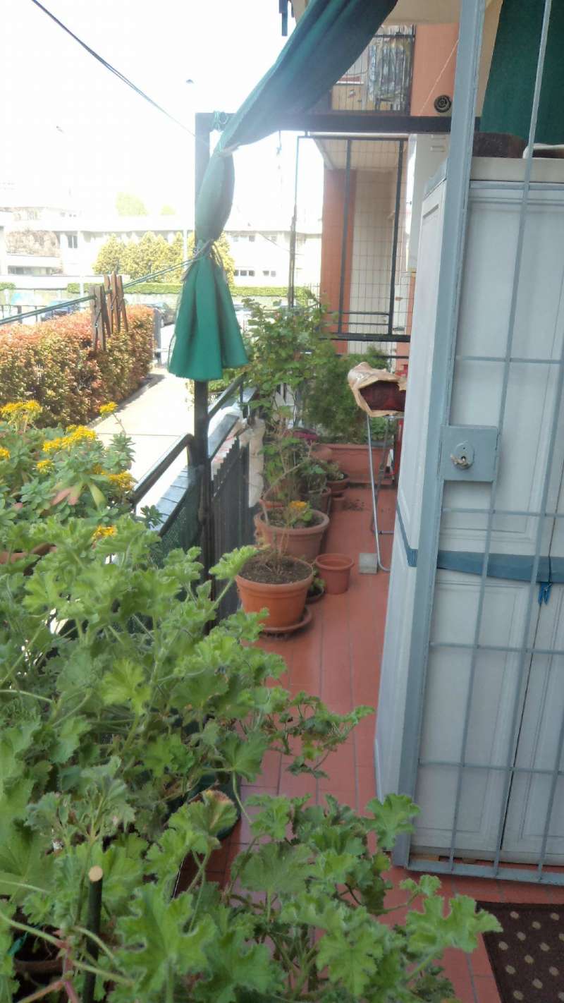 Appartamento MILANO vendita  CORVETTO Mincio Gibimedia