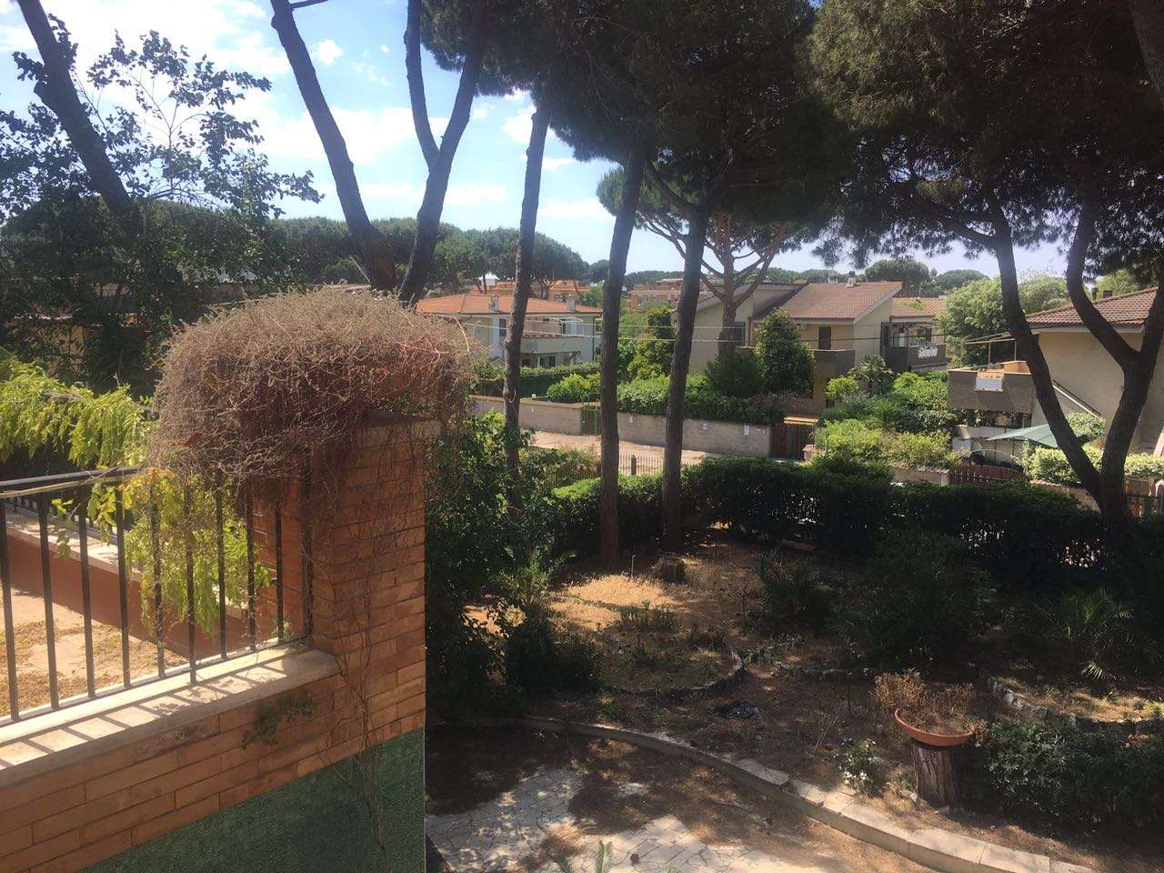 Villa Trifamiliare ANZIO affitto   delle Rose Immobiliare Gallia di Botarelli Stefania