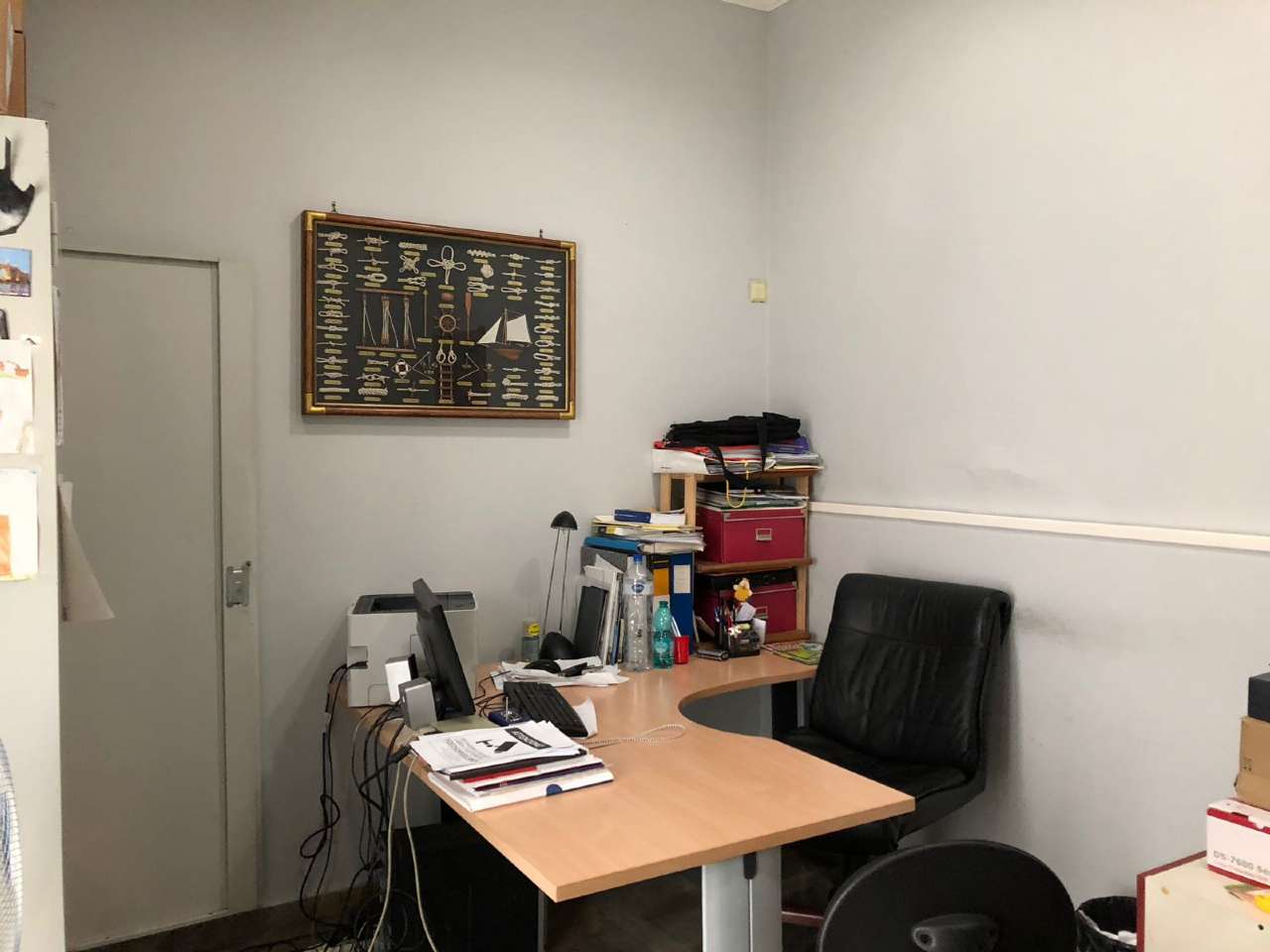 Negozio - Loc.Com. ROMA affitto  PRENESTINO - CENTOCELLE  Degli Aceri Immobiliare Gallia di Botarelli Stefania