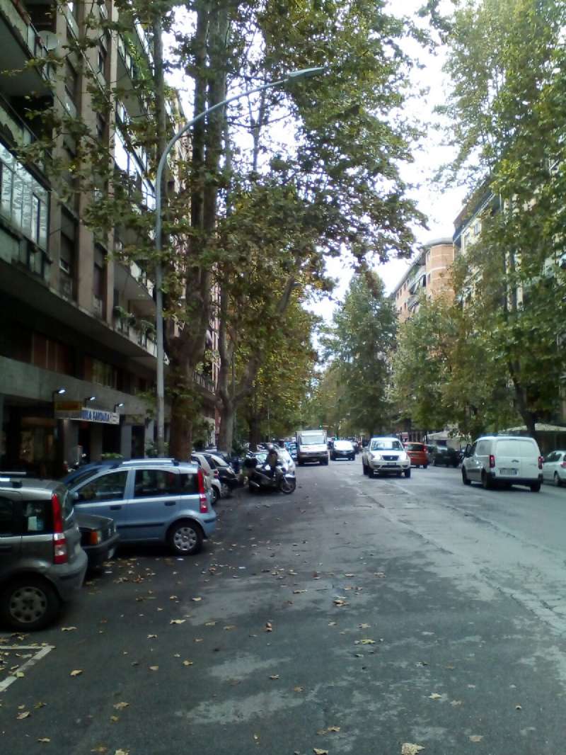 Appartamento ROMA affitto  MARCONI via Oderisi da Gubbio Immobiliare Gallia di Botarelli Stefania