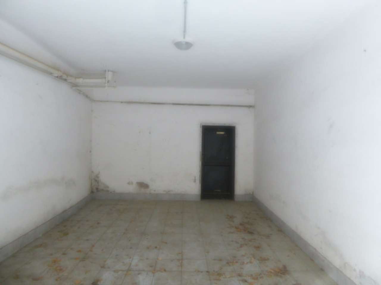  roma affitto quart: parioli  pieffe-immobiliare-srl