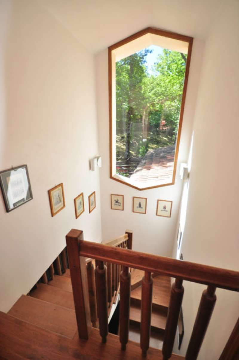 Villa VITERBO vendita   dei Castagni Pieffe Immobiliare Srl