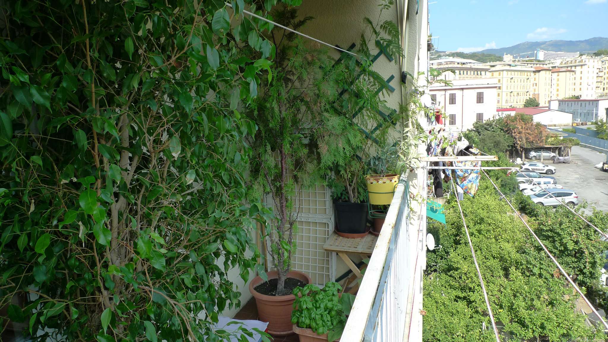 Appartamento GENOVA vendita  SAN FRUTTUOSO Terralba Farinella Immobiliare